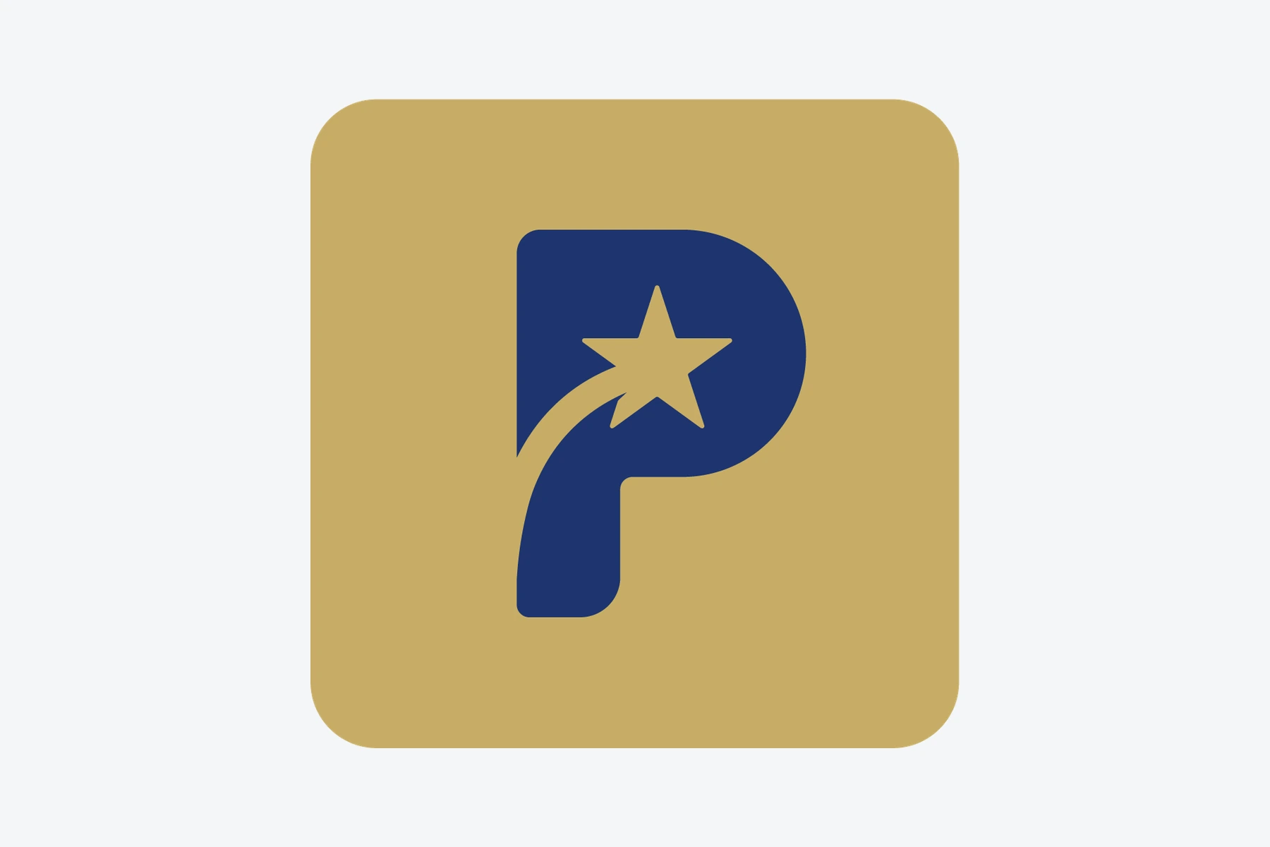 City of Prichard — Visual Identity project image