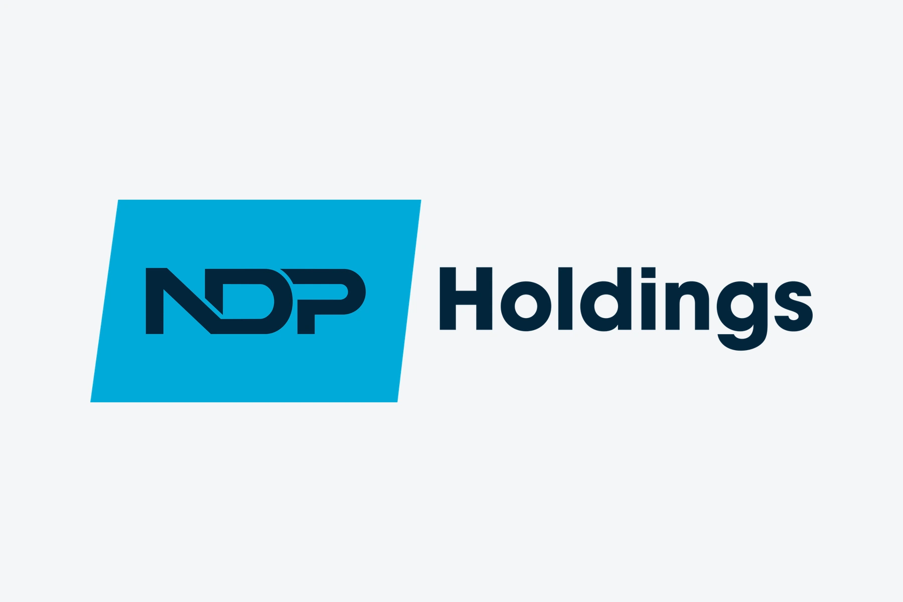 NDP Holdings — Logo System project