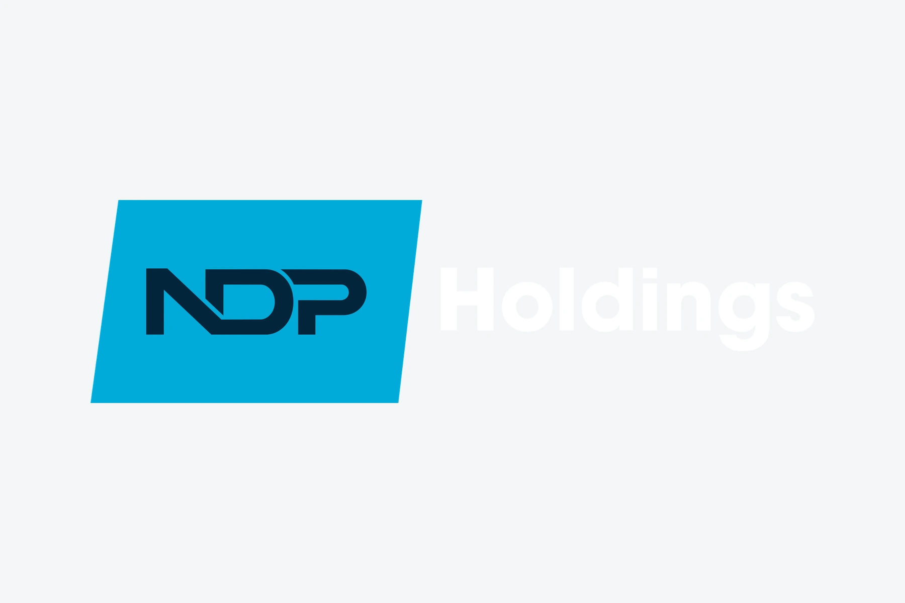 NDP Holdings — Logo System project image