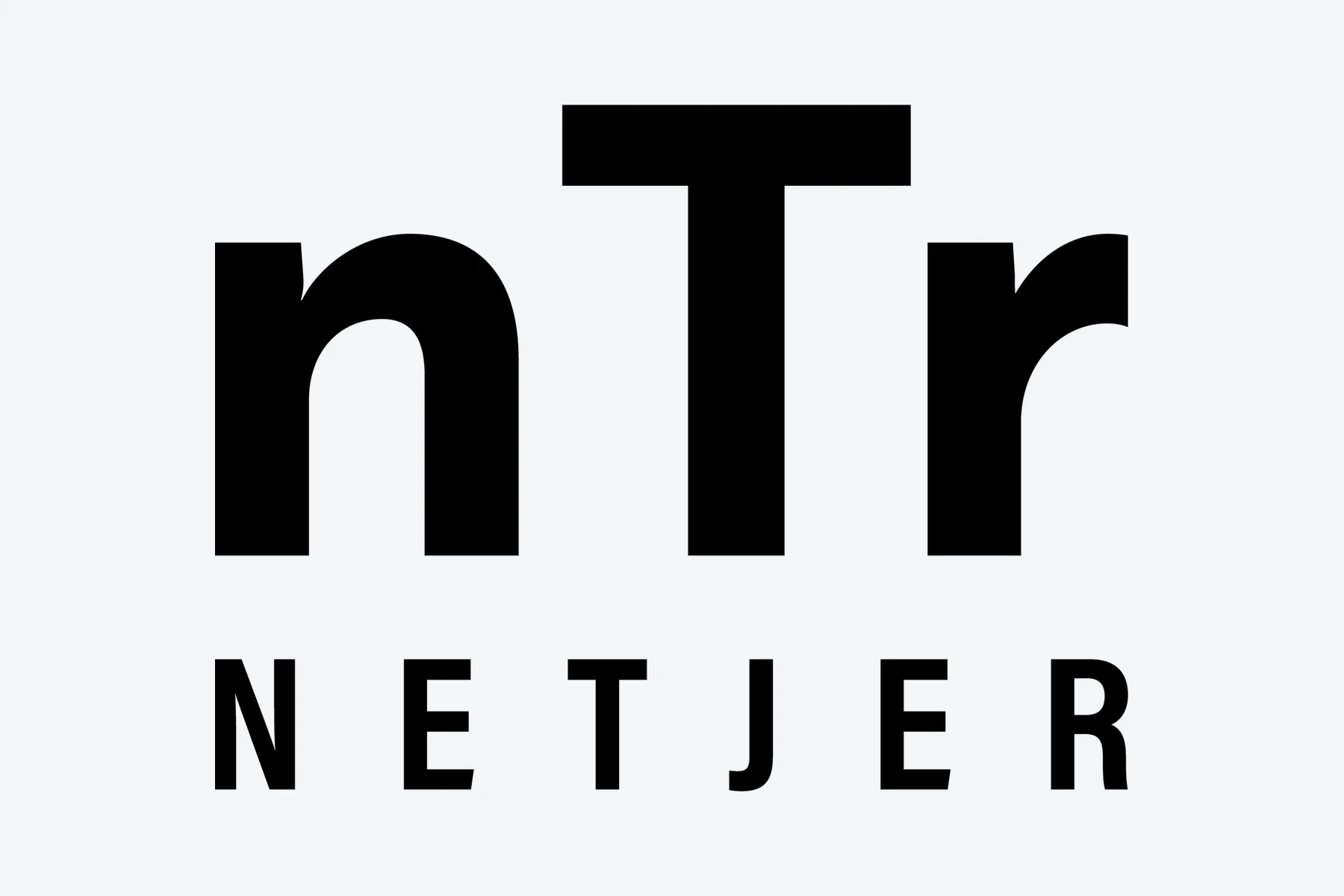 Netjer — Logo System project image